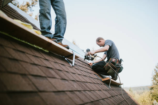 Best Storm Damage Roof Repair  in Manito, IL